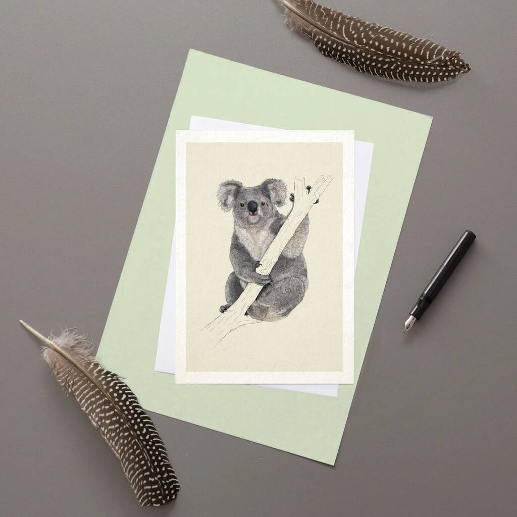 koala-greeting-card-by-ben-rothery-illustrator-notonthehighstreet
