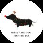 Merry Christmas From The Dog Lollipop, thumbnail 2 of 4