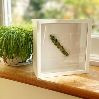 Kitchen Wall Decor: Ceramic Asparagus Wall Art, 2 of 3
