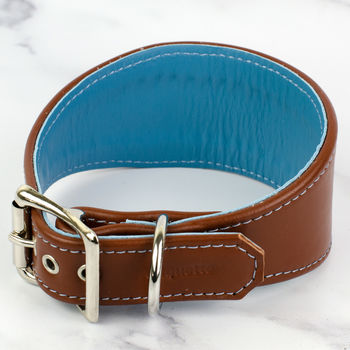 Colour Contrast Leather Whippet Collar By Petiquette Collars ...