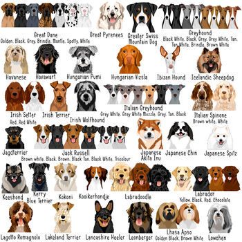 Premium Dog Breed Realistic Illustrations Heart ID Tag, 5 of 10