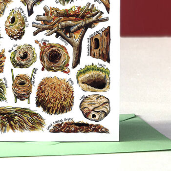 Nests Of Britain Greeting Card, 5 of 7