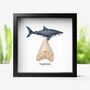 Authentic One Two' Megalodon Tooth Fossil Frame Wall Hanging Home Decoration, thumbnail 1 of 5