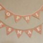 Bunting Pink Velour Personalised Baby Nursery Decor, thumbnail 1 of 12