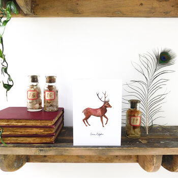 Sylvan Stag Greetings Card, 3 of 7