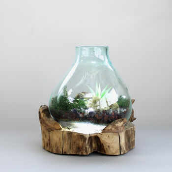 Molten Glass Terrarium Decorative Bowl On Wooden Base, 6 of 9