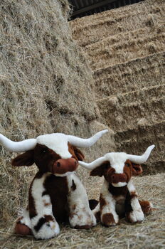 Personalised Texas Longhorn 18 Cm Cow Soft Toy, 6 of 10
