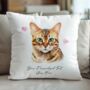 Personalised Bengal Cat Love Hearts Cushion Cover, thumbnail 1 of 2