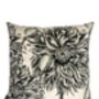 Antique White Velvet Poppy Cushion, thumbnail 2 of 7