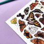 Butterflies Of Britain Illustrated Postcard, thumbnail 8 of 10