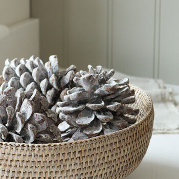 Large White Washed Pinecone, 4 of 4