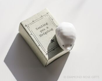 Send A Hug, Hedgehug, Thinking Of You Gift, 12 of 12