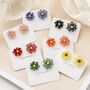 Colourful Summer Daisy Flower Stud Earrings, thumbnail 1 of 9
