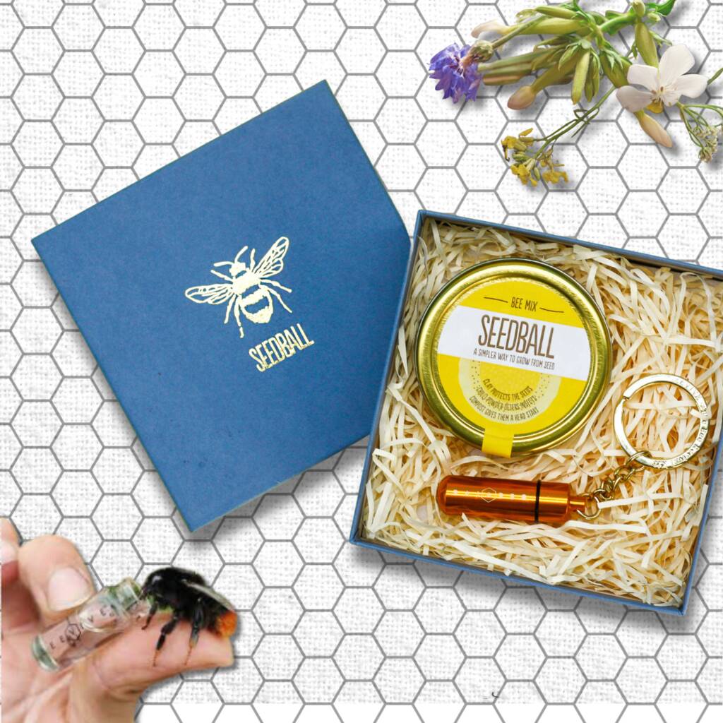 Beevive And Seedball Bee Rescue Gift Set, 1 of 9