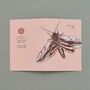 Handmade Greeting Card Privet Hawk Moth, Recycled Card, thumbnail 4 of 6