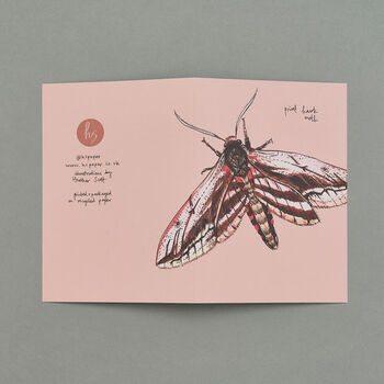 Handmade Greeting Card Privet Hawk Moth, Recycled Card, 4 of 6