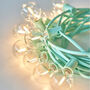 Pastel Festoon String Lights, thumbnail 3 of 5