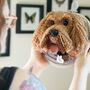 Personalised Crocheted Dog Head Wall Hanging, thumbnail 1 of 10