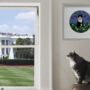 ‘Socks Clinton’ Cat Pawtrait Needlepoint Canvas Kit, thumbnail 5 of 6