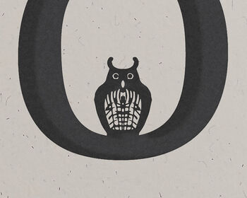 O Is For Owl, Alphabet Card, 2 of 3