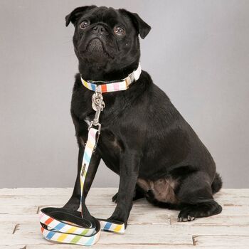 Lucky Dip Fabric Collar And Lead Set, 4 of 6