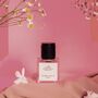 Adore Moi Perfume Gift Set – 3x8ml Niche Scents, thumbnail 2 of 6