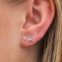 Sterling Silver Enamel Parrot Stud Earrings, thumbnail 1 of 5