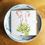 Echeveria Greetings Card, thumbnail 5 of 5