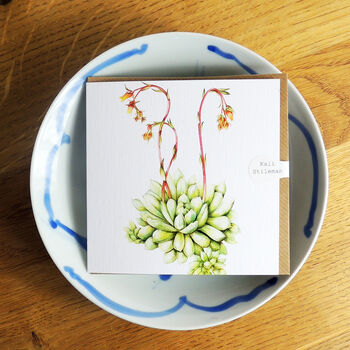Echeveria Greetings Card, 5 of 5