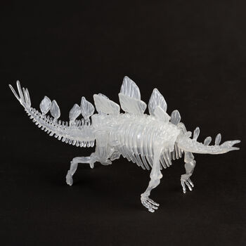 Glow In The Dark Dinosaur Skeleton Kit, 8 of 9