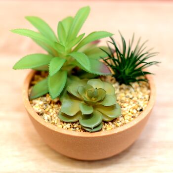 Artificial Succulent In Terracotta Pot, 3 of 3