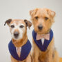 Navy And Pink Dog Wedding Suit, thumbnail 1 of 9