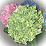 Faux Flowers Stems Hydrangea With Leaf, thumbnail 3 of 3