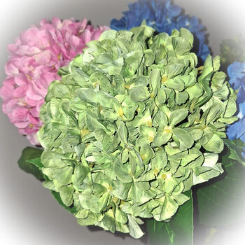 Faux Flowers Stems Hydrangea With Leaf, 3 of 3