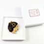 Valencia Acrylic Brooch, Fallera Charity Brooch, Dana, thumbnail 5 of 6