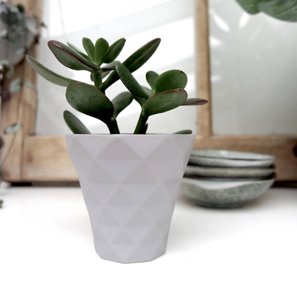 small geometric plant pot by peastyle