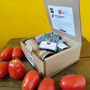 San Marzano Tomato Grow Your Own Kit, thumbnail 8 of 9
