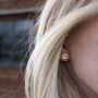 Sterling Silver Daisy Stud Earrings, thumbnail 2 of 4