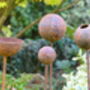 Rusty Garden Sculpture Bundle | Rusty Garden Ornaments, thumbnail 1 of 3