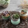 Set Of Three Ceramic Succulent Plant Pots, thumbnail 1 of 8