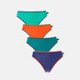 Women's 'Warm Spice' Four Pack Bamboo High Leg Knickers, thumbnail 1 of 6