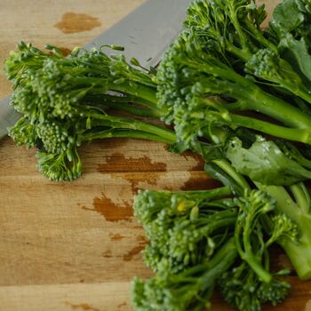 Vegetable Broccoli 'Tenderstem' 12 X Plant Pack, 3 of 5