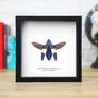 Banded Jewel Beetle Insect Bug Entomology Taxidermy Box Frame, thumbnail 1 of 3