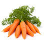 Carrot 'Chantenay' 12 X Plug Plant Pack, thumbnail 1 of 6