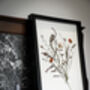 Whisper Stem Original Pressed Flower Art In A3 Black Frame, thumbnail 5 of 7