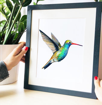 Broad Billed Hummingbird Print, 3 of 9