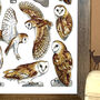 Barn Owls Watercolour Art Print, thumbnail 4 of 7
