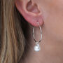 Gold Or Silver And Crystal Pearl Hoop Earrings, thumbnail 1 of 6