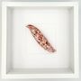 Kitchen Wall Decor: Borlotti Bean Pod Wall Art, thumbnail 3 of 3