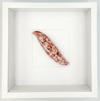 Kitchen Wall Decor: Borlotti Bean Pod Wall Art, 3 of 3